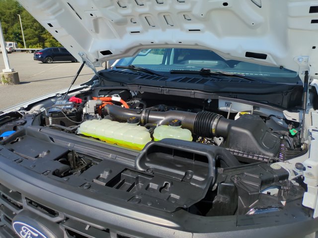 Certified 2025 Ford F150 XL w/ Equipment Group 104A Hybrid AWD/4WD image 34