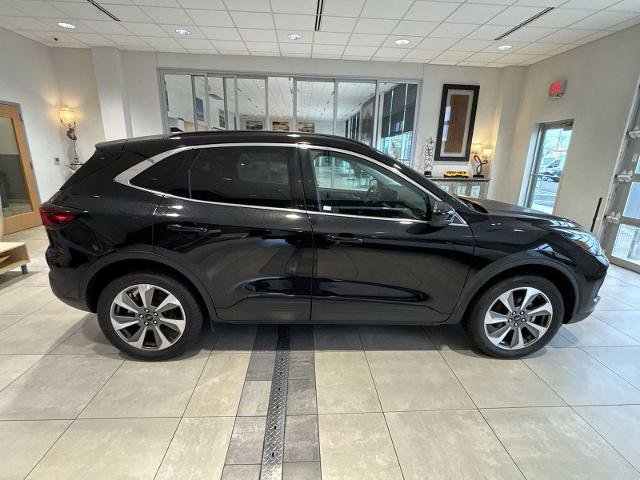 Certified 2025 Ford Escape Platinum image 6