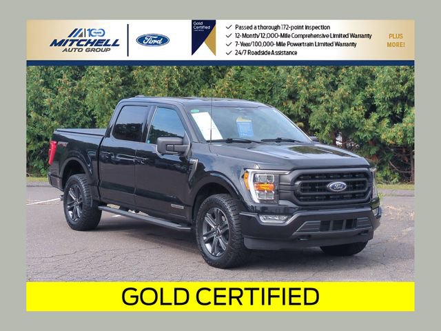 Certified 2023 Ford F150 XLT w/ Equipment Group 302A High AWD/4WD image 1