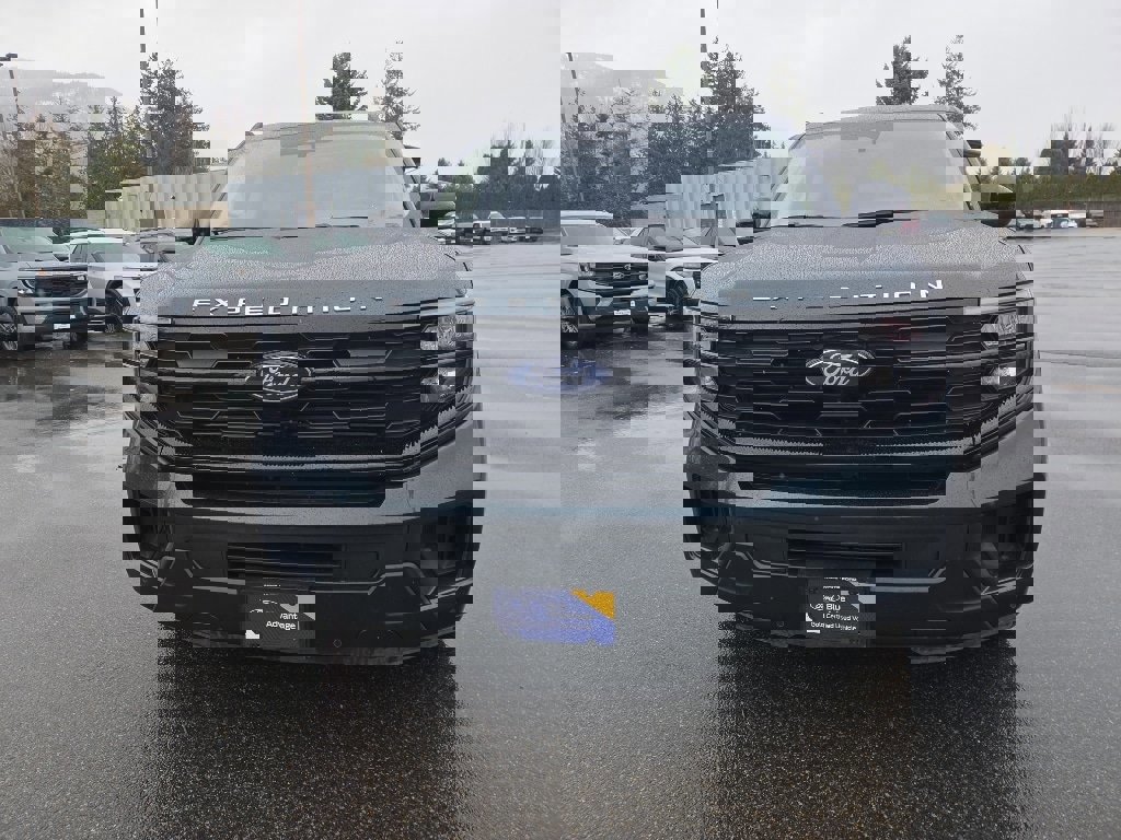 Certified 2025 Ford Expedition Active image 6