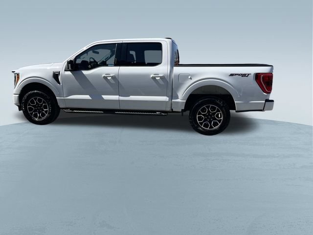 Certified 2023 Ford F150 XLT w/ Equipment Group 302A High AWD/4WD image 8