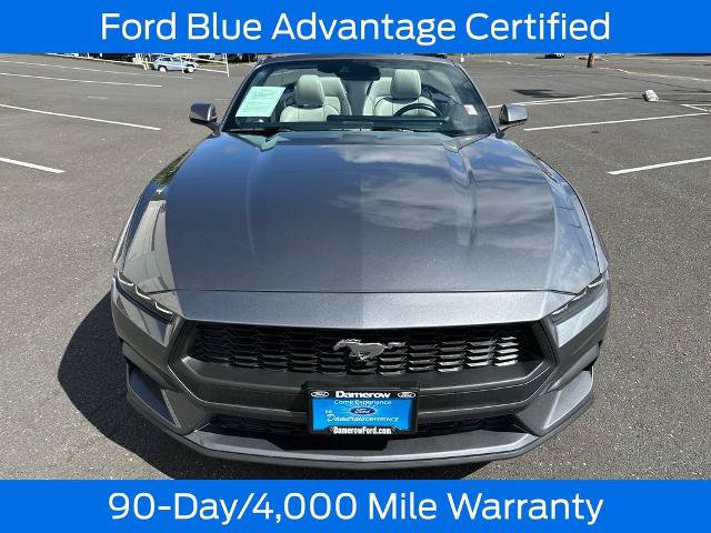 Certified 2024 Ford Mustang Premium RWD image 11