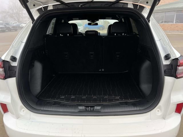 Certified 2024 Ford Escape ST-Line Elite image 12