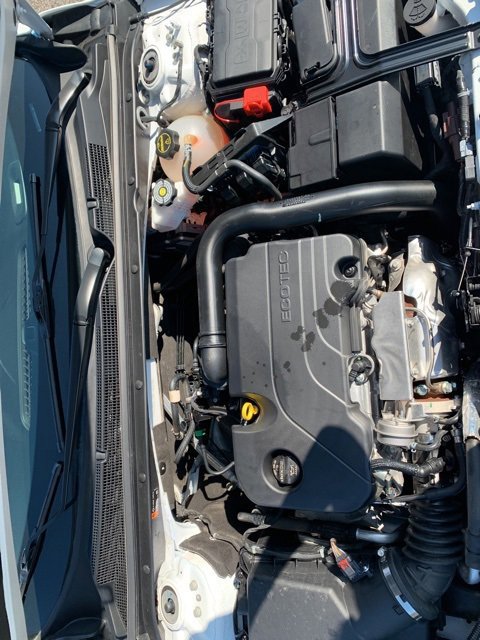 Used 2024 Chevrolet Malibu LT image 10