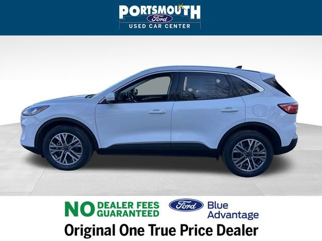 Certified 2022 Ford Escape SEL image 7