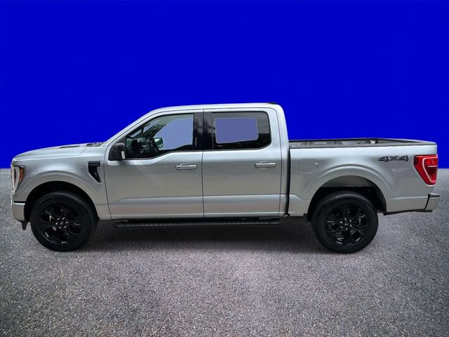 Certified 2023 Ford F150 XLT w/ Equipment Group 302A High AWD/4WD image 6