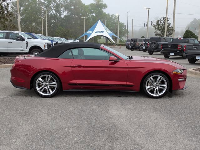 Certified 2019 Ford Mustang Premium w/ Pony Package image 6