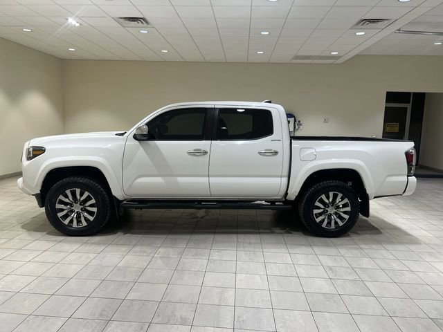 Used 2022 Toyota Tacoma Limited image 6