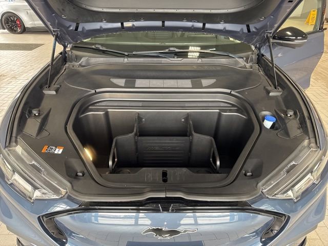 Certified 2021 Ford Mustang Mach-E Premium image 8