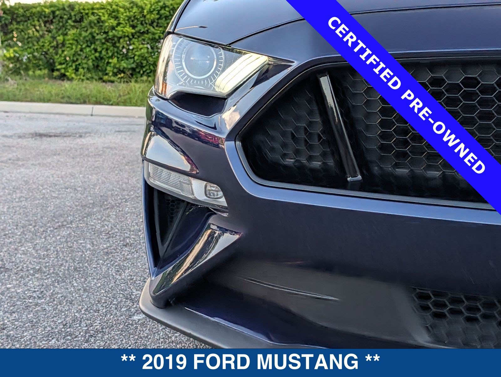 Certified 2019 Ford Mustang GT Premium w/ Equipment Group 401A RWD image 10