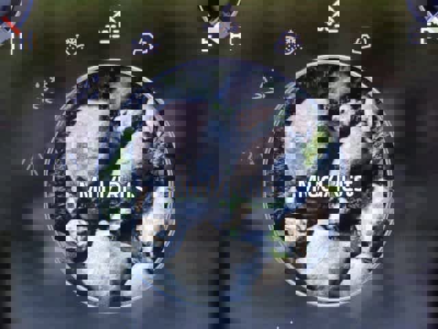 Certified 2023 Ford F150 Tremor w/ Trailer Tow Package image 36