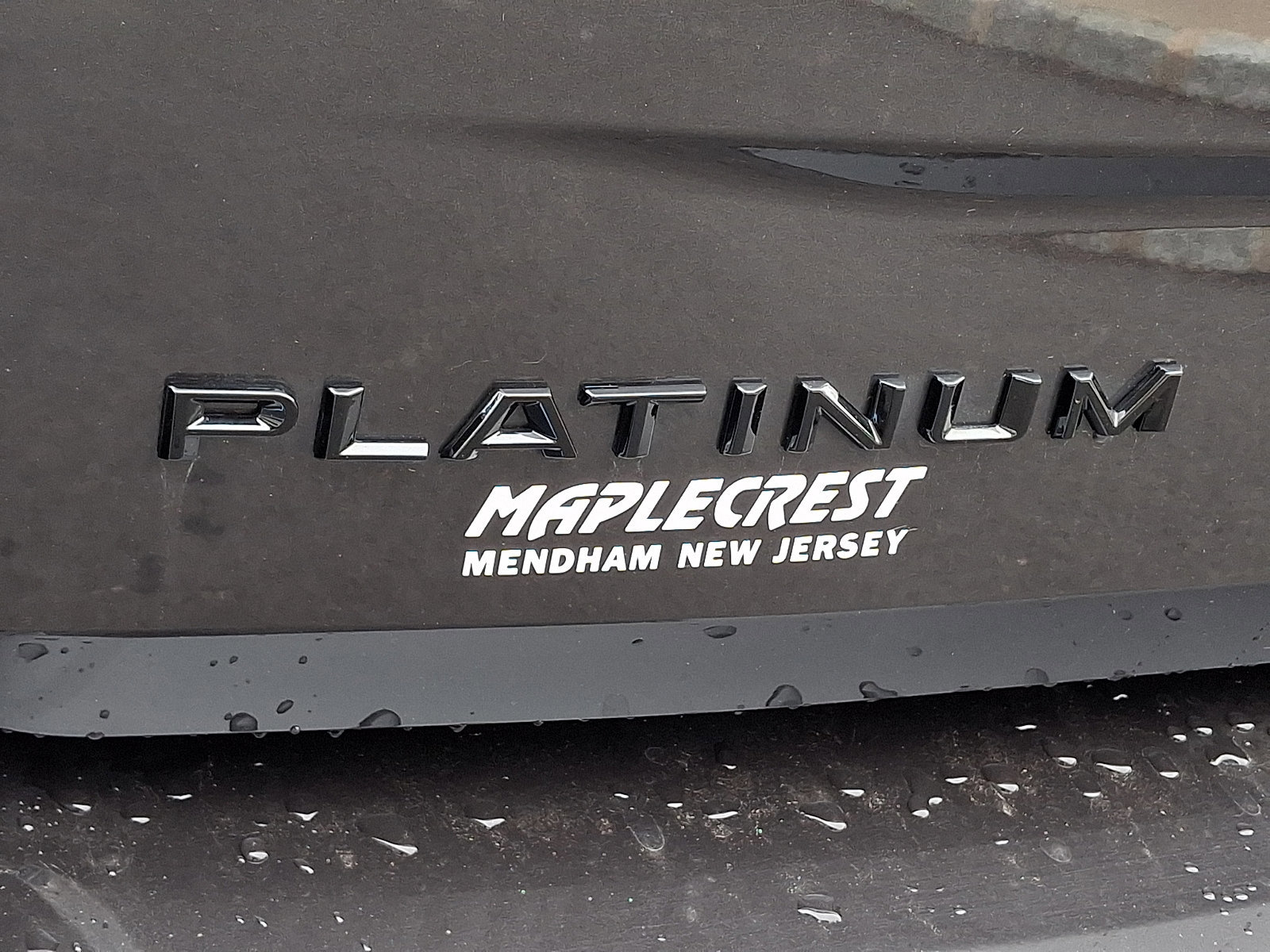 Certified 2025 Ford Expedition Platinum w/ Stealth Performance Package AWD/4WD image 32