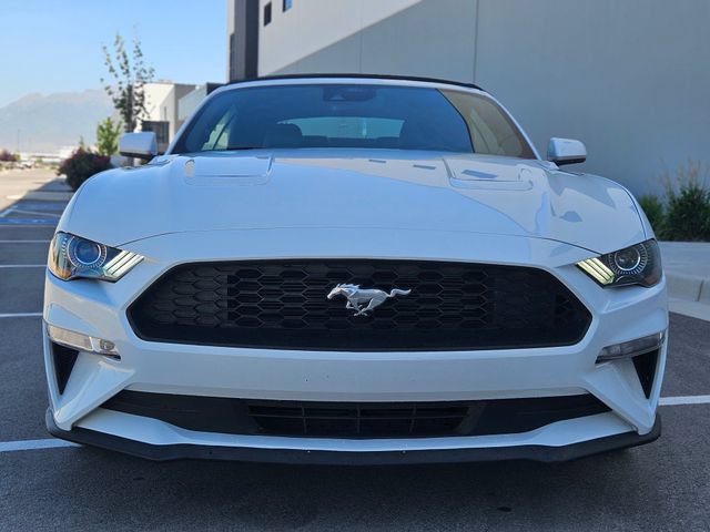 Certified 2023 Ford Mustang Premium RWD image 8