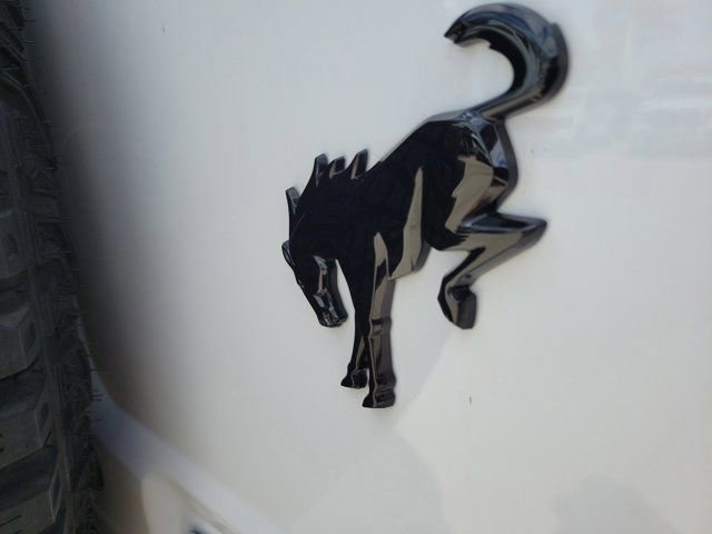 Certified 2024 Ford Bronco Wildtrak AWD/4WD image 12