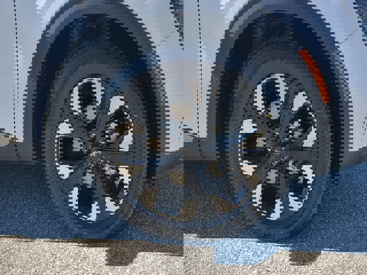 Used 2024 Kia Sportage X-Line image 9