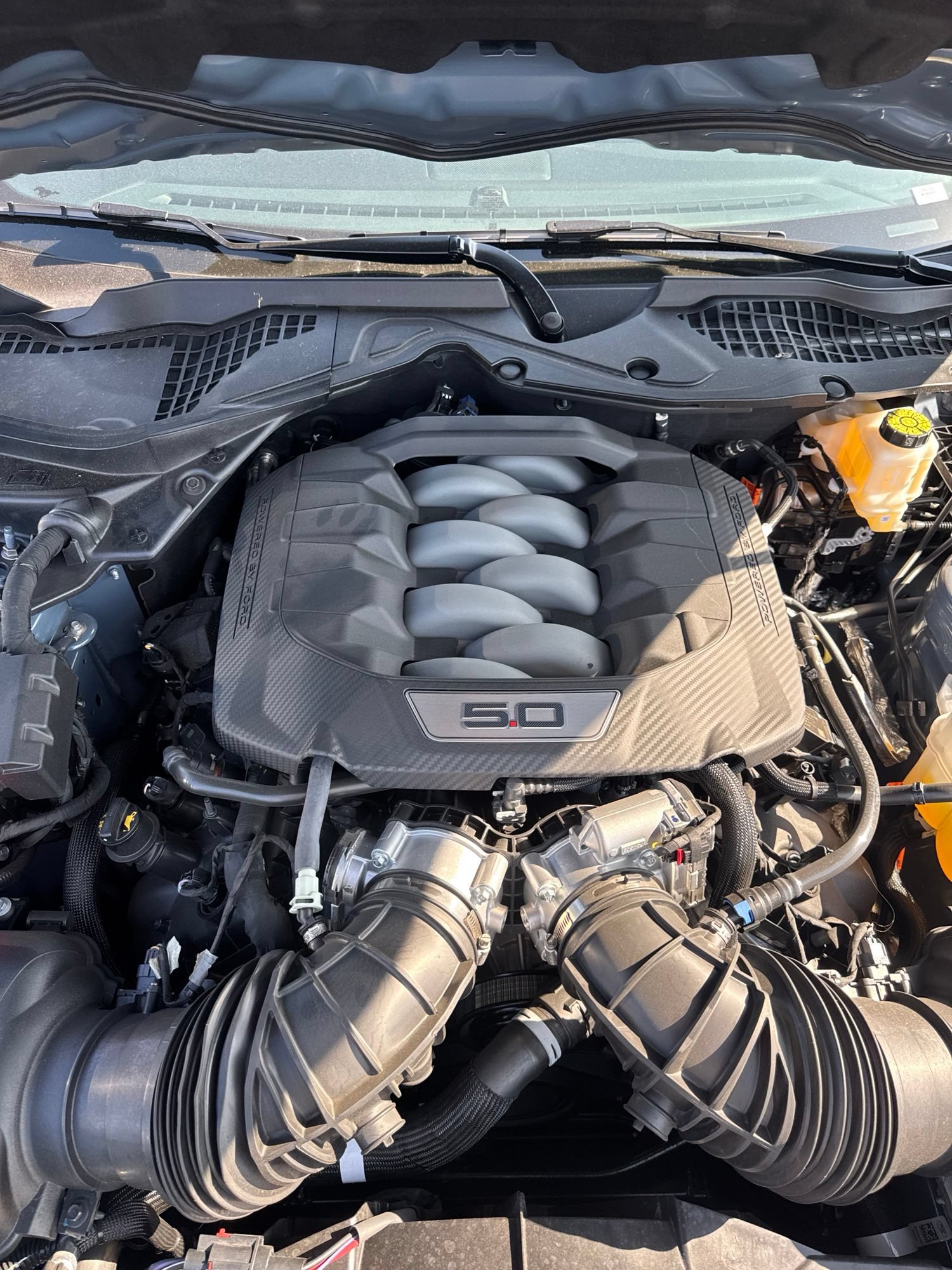 Certified 2025 Ford Mustang GT Premium RWD image 8