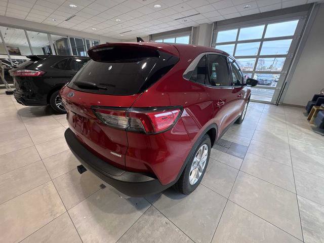 Certified 2020 Ford Escape SE image 3