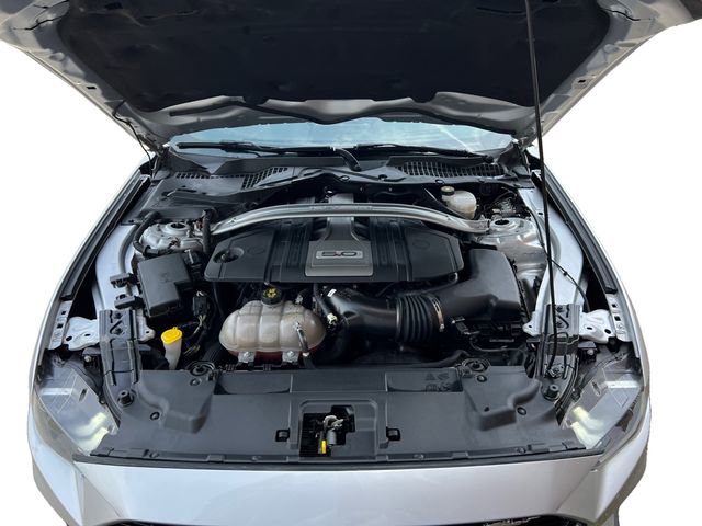 Certified 2019 Ford Mustang GT Premium w/ Equipment Group 401A RWD image 16