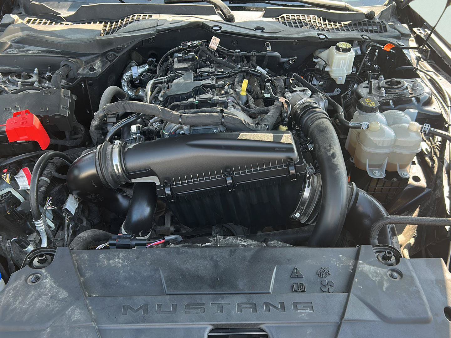 Certified 2024 Ford Mustang Coupe RWD image 24