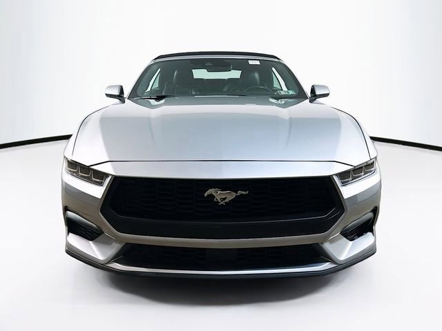Certified 2024 Ford Mustang Premium image 10