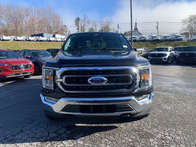Certified 2023 Ford F150 XLT w/ Equipment Group 302A High image 3