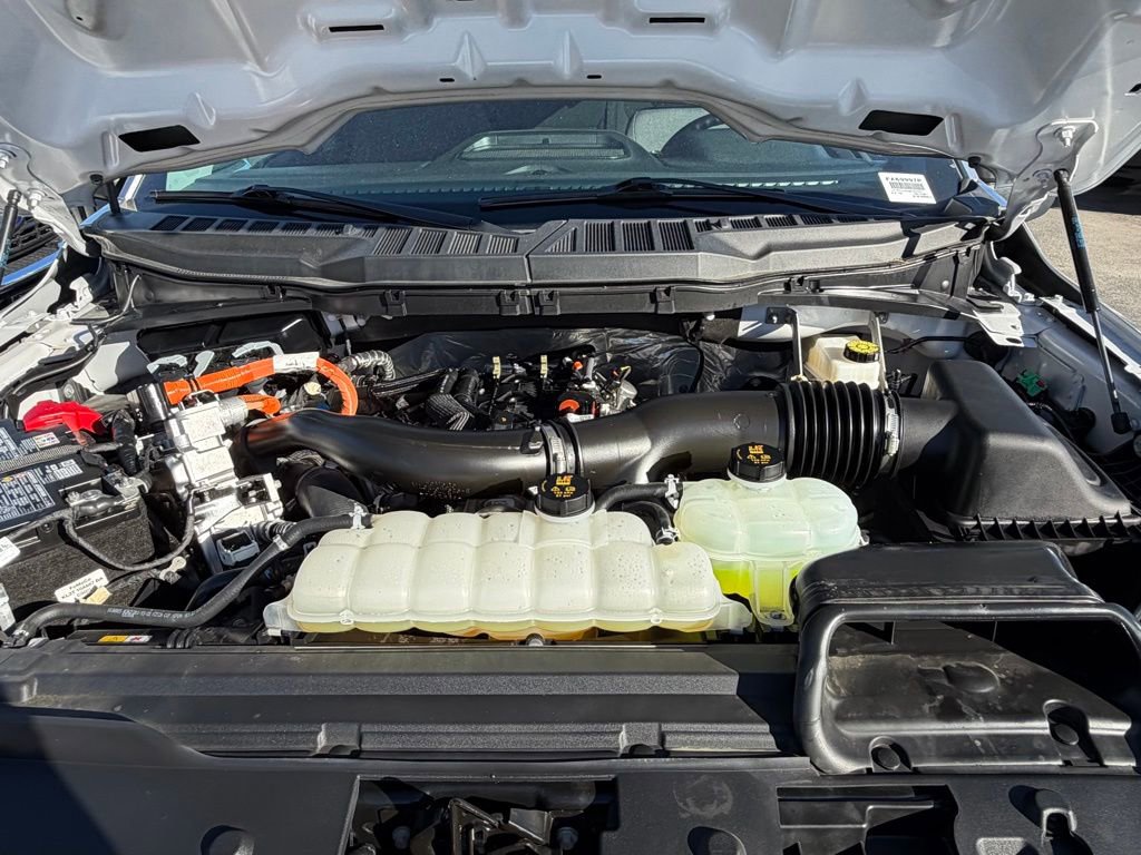 Certified 2025 Ford F150 XLT w/ Equipment Group 301A Standard image 30