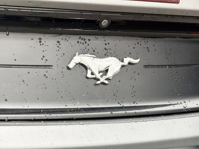Certified 2021 Ford Mustang Premium RWD image 14