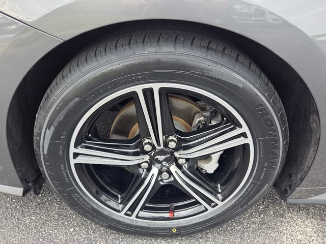 Certified 2024 Ford Mustang Coupe RWD image 17