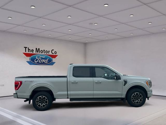 Certified 2023 Ford F150 XLT w/ Equipment Group 302A High AWD/4WD image 4