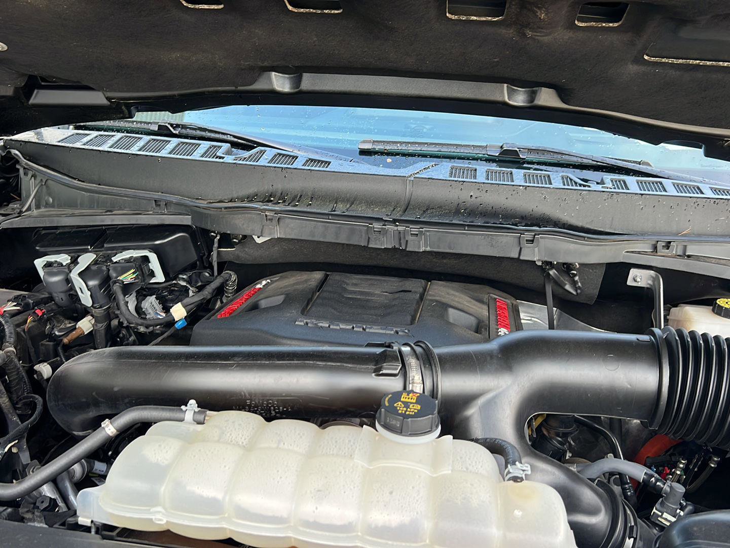 Certified 2024 Ford F150 Raptor image 37