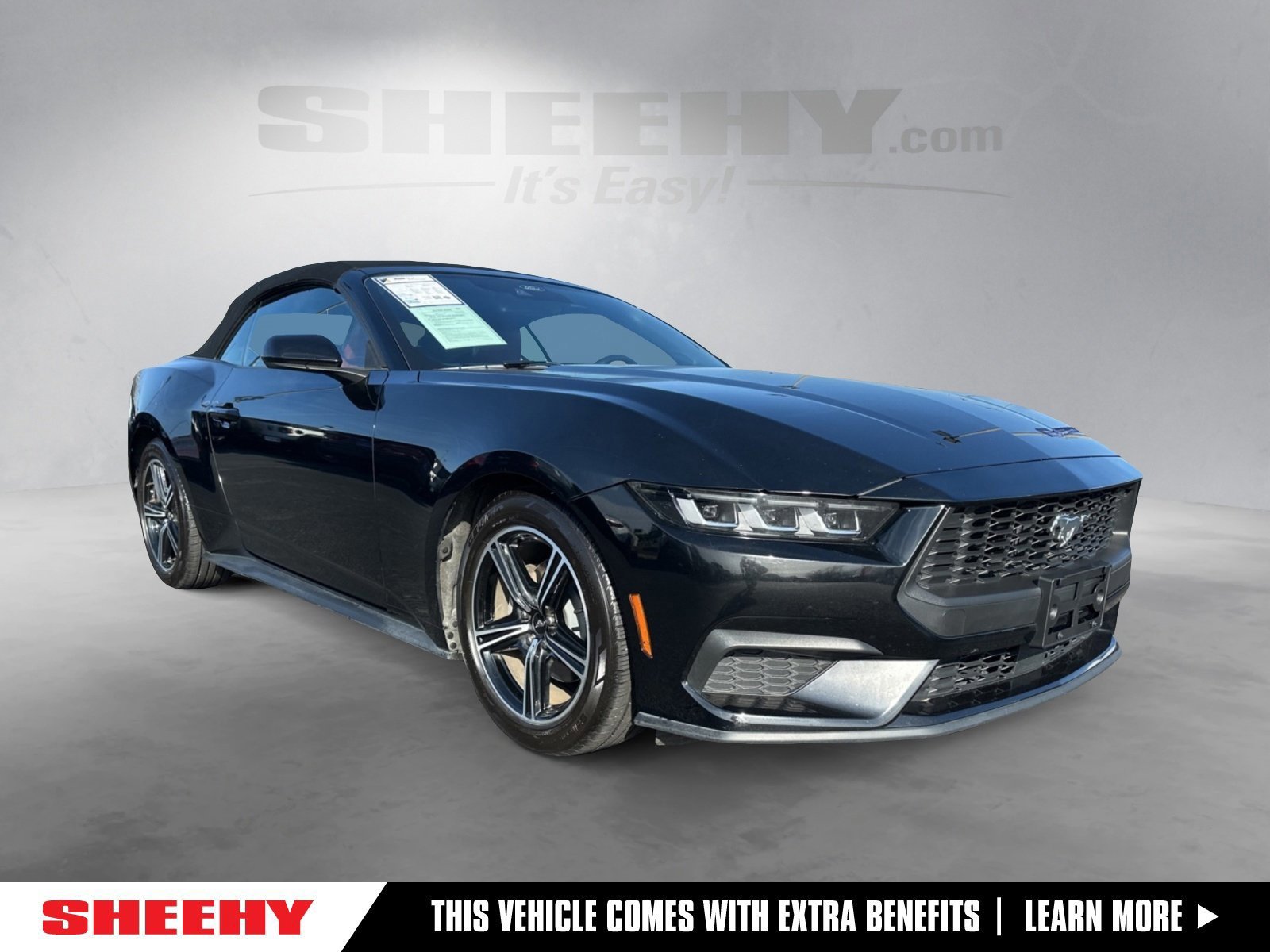 Certified 2024 Ford Mustang Premium image 7