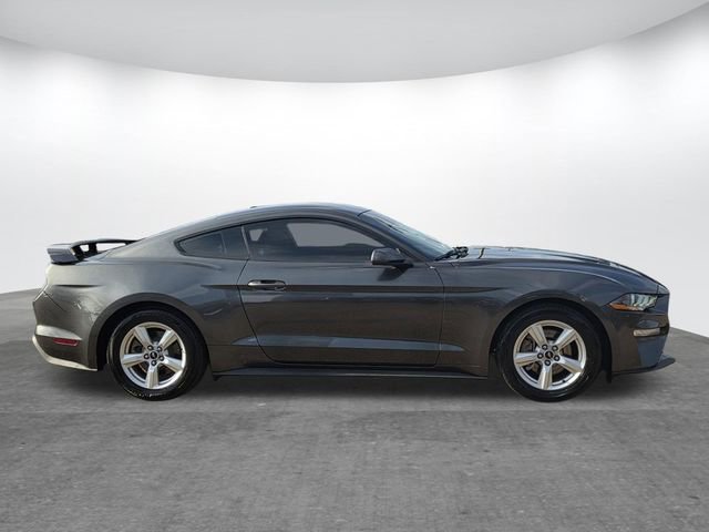 Certified 2019 Ford Mustang Coupe image 3