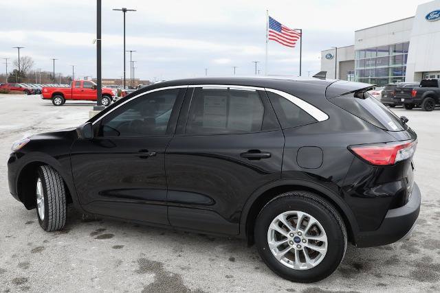 Certified 2022 Ford Escape SE image 7