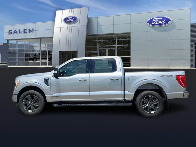 Certified 2023 Ford F150 XLT w/ Equipment Group 302A High AWD/4WD image 5