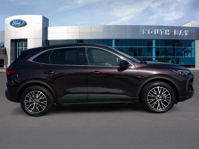 Certified 2023 Ford Escape SE w/ PHEV Premium Package FWD image 6