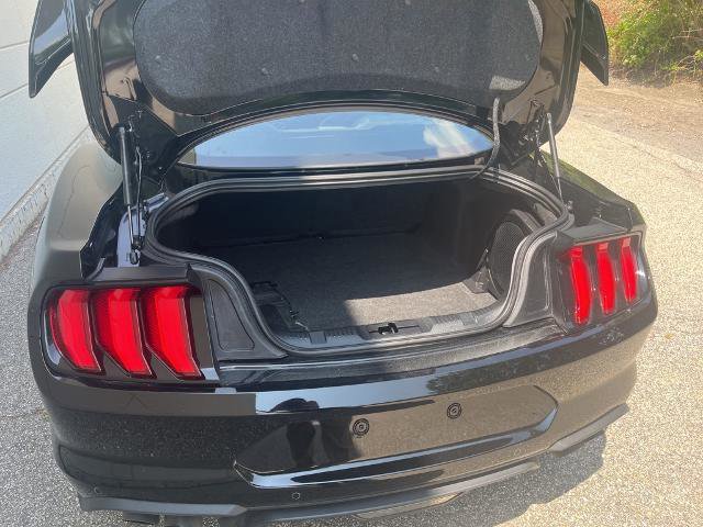 Certified 2023 Ford Mustang GT Premium w/ Equipment Group 401A image 9