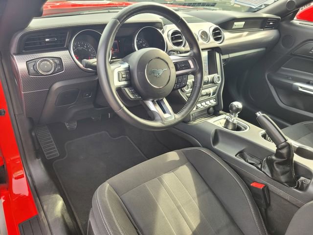 Certified 2019 Ford Mustang GT w/ GT Performance Package image 12