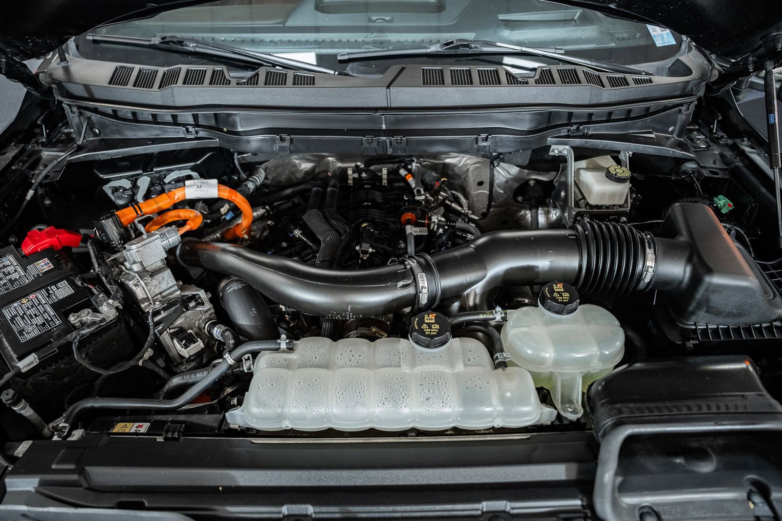 Certified 2024 Ford F150 King Ranch image 29