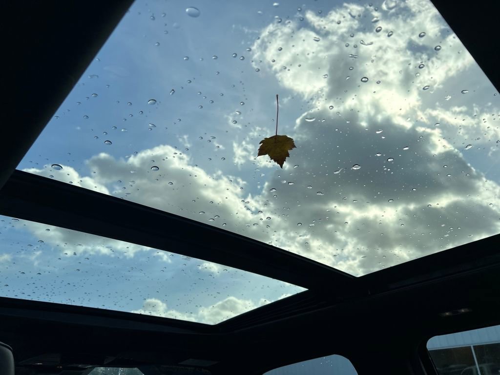 Certified 2024 Ford F150 Raptor image 22