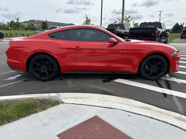 Certified 2019 Ford Mustang Coupe w/ Equipment Group 101A RWD image 6