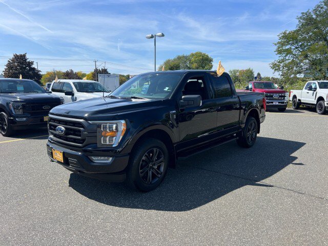 Certified 2022 Ford F150 XLT w/ Equipment Group 302A High AWD/4WD image 3