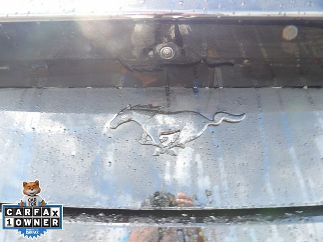 Certified 2025 Ford Mustang Coupe w/ Mustang Nite Pony Package image 17