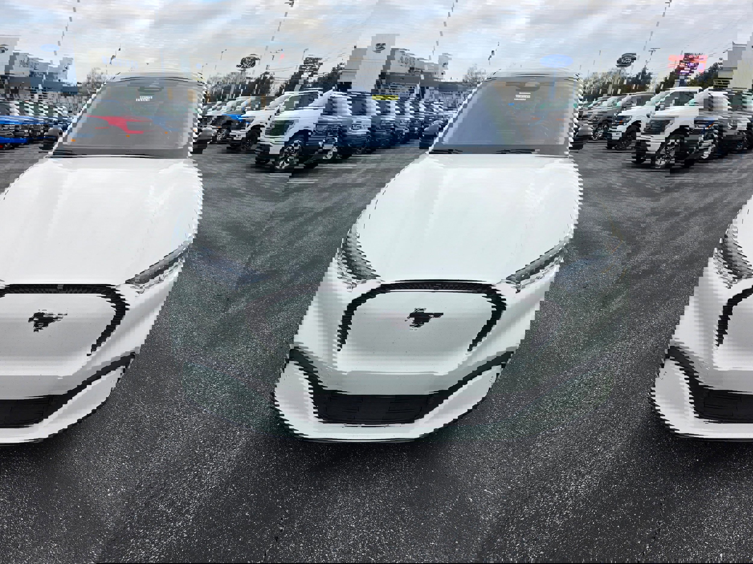 Certified 2021 Ford Mustang Mach-E California Route 1 image 6