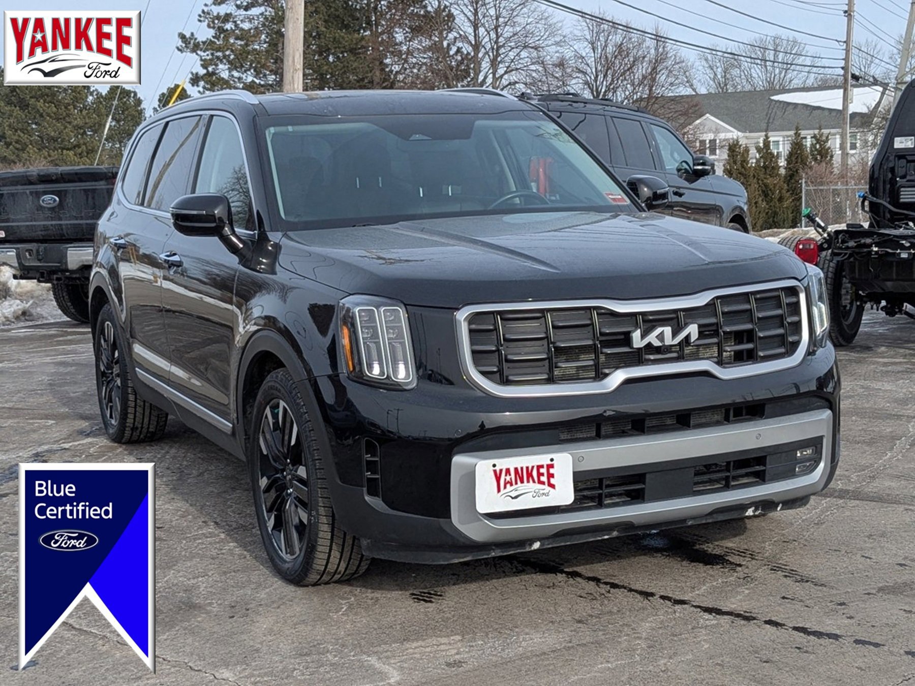 Used 2023 Kia Telluride SX X-Line image 7