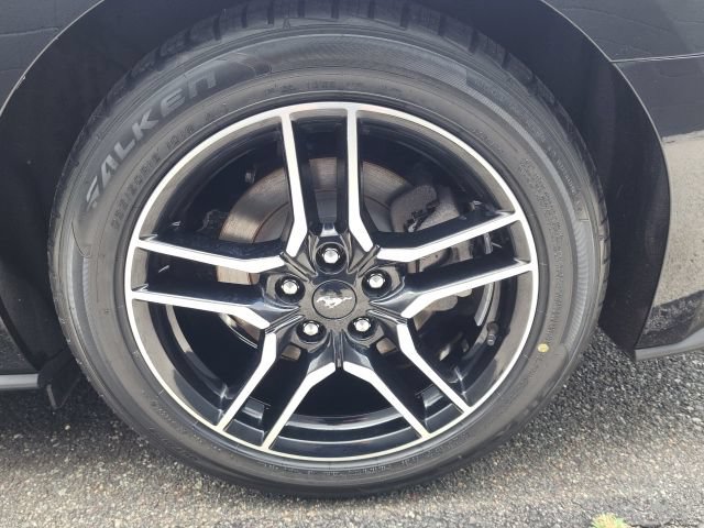 Certified 2019 Ford Mustang Premium RWD image 40