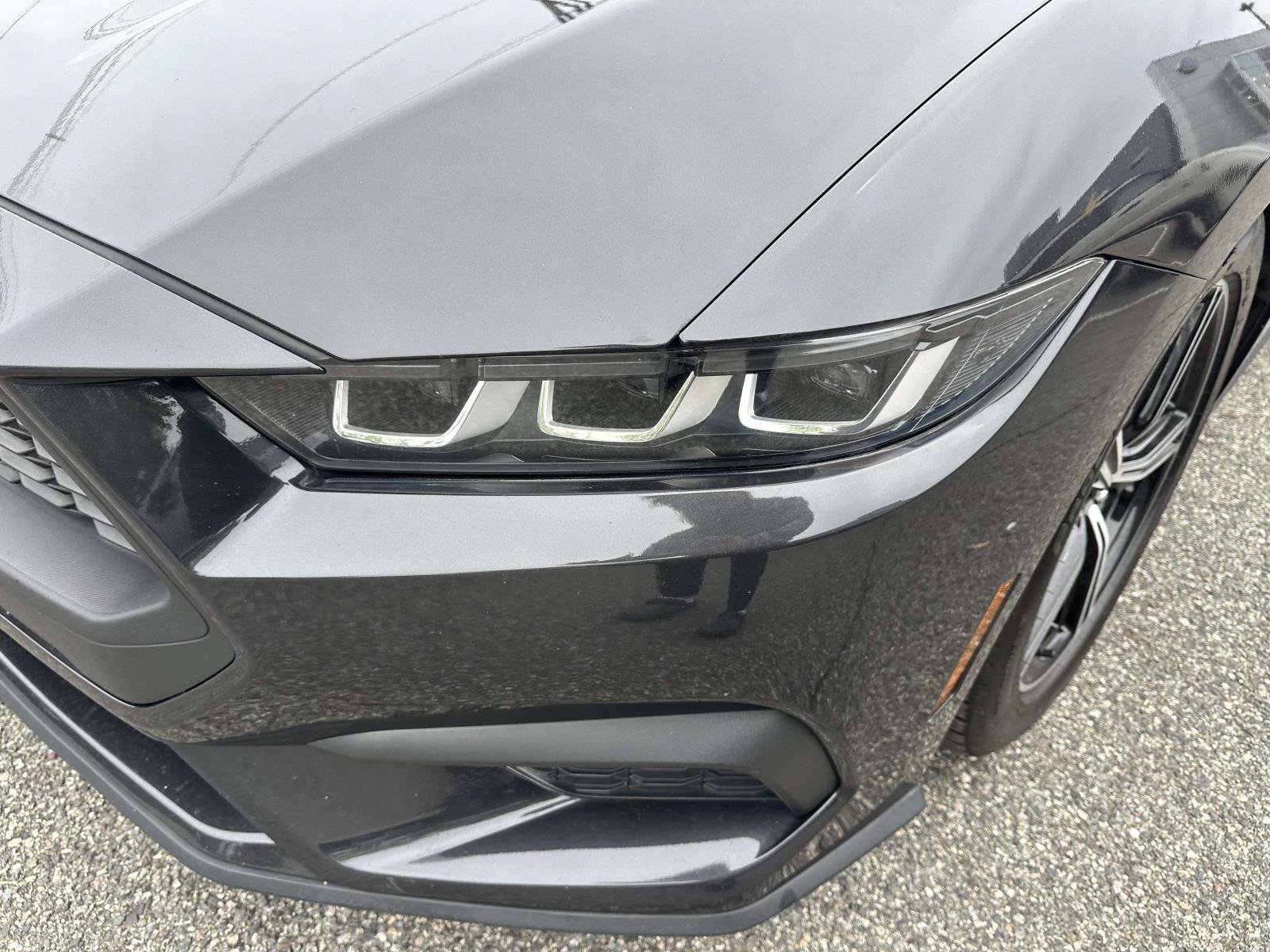 Certified 2024 Ford Mustang Premium RWD image 9