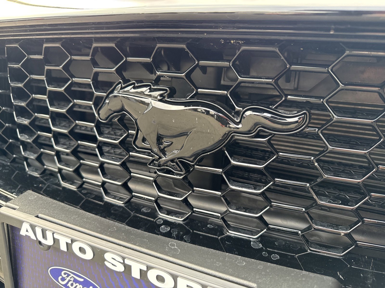 Certified 2025 Ford Mustang GT Premium w/ Mustang Nite Pony Package image 28