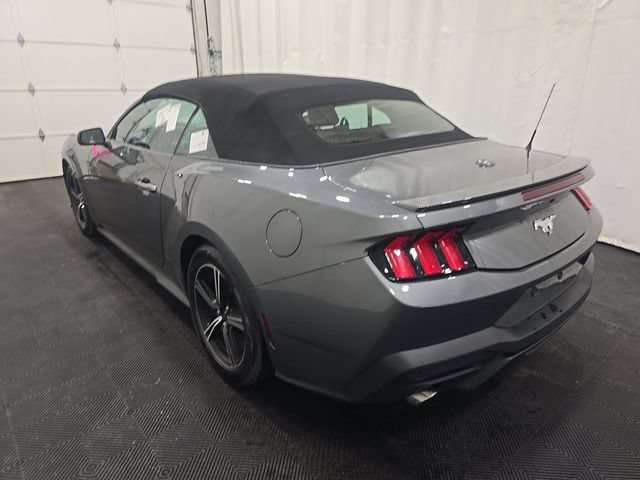 Certified 2025 Ford Mustang Premium RWD image 5