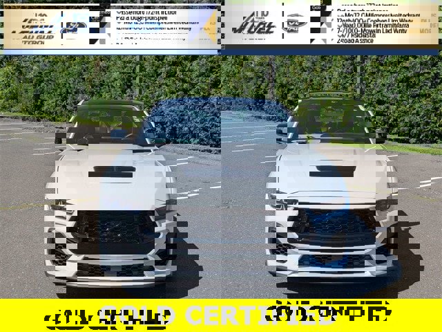 Certified 2024 Ford Mustang GT Premium w/ Mustang Nite Pony Package image 8