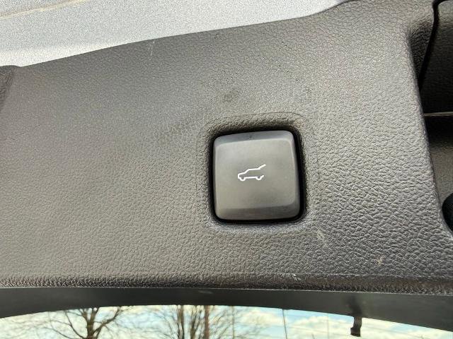 Certified 2022 Ford Escape SEL w/ SEL Stealth AWD Package image 32